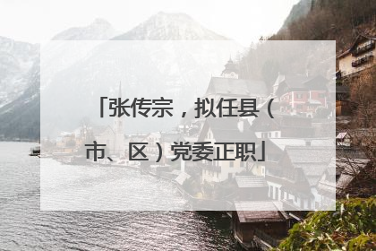 张传宗，拟任县（市、区）党委正职