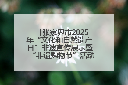 张家界市2025年“文化和自然遗产日”非遗宣传展示暨“非遗购物节”活动在慈利县盛大启幕