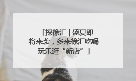 探徐汇 | 盛夏即将来袭，多来徐汇吃喝玩乐逛“新店”
