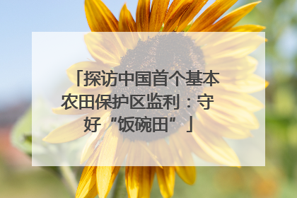 探访中国首个基本农田保护区监利：守好“饭碗田”