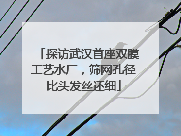 探访武汉首座双膜工艺水厂，筛网孔径比头发丝还细