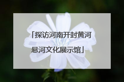 探访河南开封黄河悬河文化展示馆