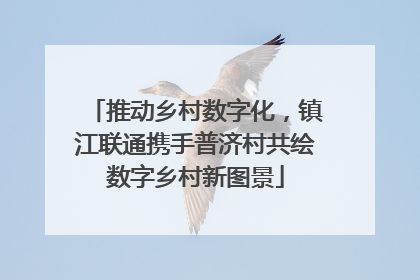 推动乡村数字化，镇江联通携手普济村共绘数字乡村新图景