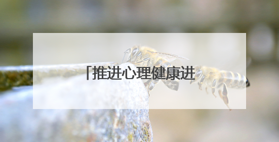 推进心理健康进校园，构建系统化学生支持网络