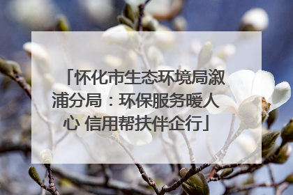怀化市生态环境局溆浦分局：环保服务暖人心 信用帮扶伴企行