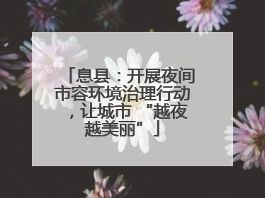 息县：开展夜间市容环境治理行动，让城市 “越夜越美丽”