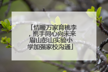 情暖万家育桃李，携手同心向未来 眉山彭山实验小学加强家校沟通