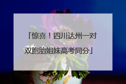 惊喜！四川达州一对双胞胎姐妹高考同分