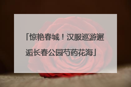 惊艳春城！汉服巡游邂逅长春公园芍药花海