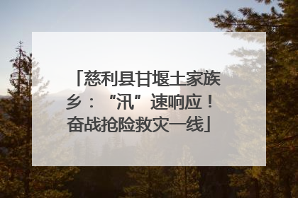 慈利县甘堰土家族乡：“汛”速响应！奋战抢险救灾一线