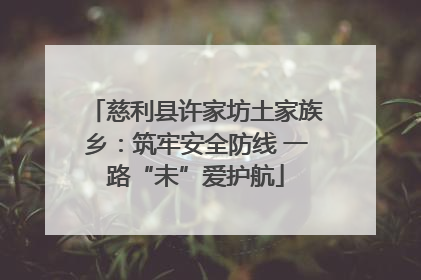 慈利县许家坊土家族乡：筑牢安全防线 一路“未”爱护航