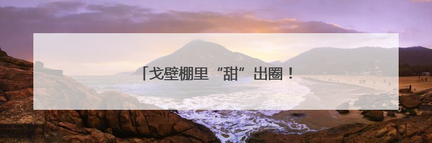 戈壁棚里“甜”出圈！瓜州蜜瓜抢“鲜”上市