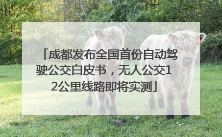成都发布全国首份自动驾驶公交白皮书，无人公交12公里线路即将实测