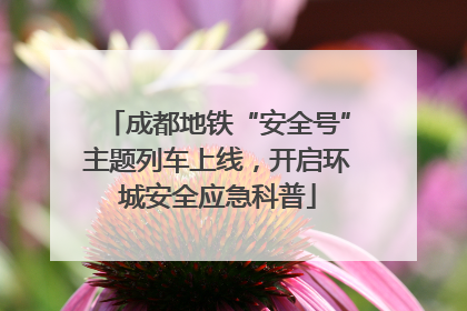 成都地铁“安全号”主题列车上线，开启环城安全应急科普