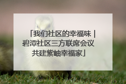 我们社区的幸福味｜碧潭社区三方联席会议共建紫岫幸福家
