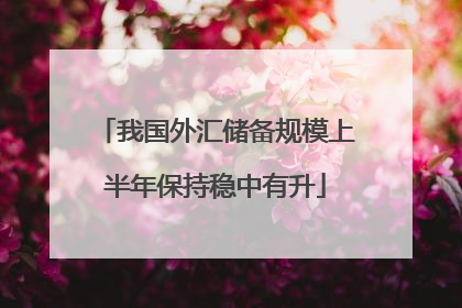 我国外汇储备规模上半年保持稳中有升