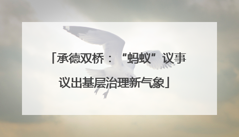 承德双桥：“蚂蚁”议事 议出基层治理新气象