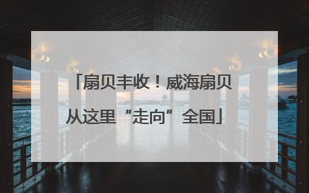 扇贝丰收！威海扇贝从这里“走向”全国