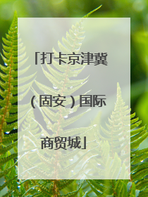 打卡京津冀（固安）国际商贸城