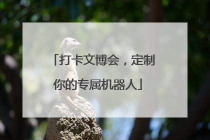 打卡文博会，定制你的专属机器人