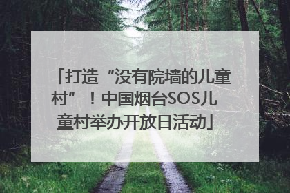 打造“没有院墙的儿童村”！中国烟台SOS儿童村举办开放日活动