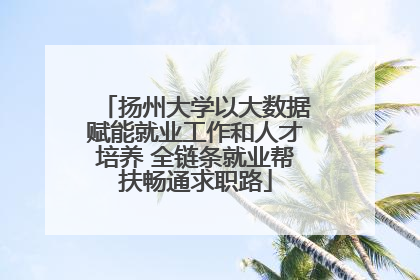 扬州大学以大数据赋能就业工作和人才培养 全链条就业帮扶畅通求职路