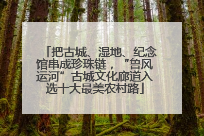把古城、湿地、纪念馆串成珍珠链，“鲁风运河”古城文化廊道入选十大最美农村路