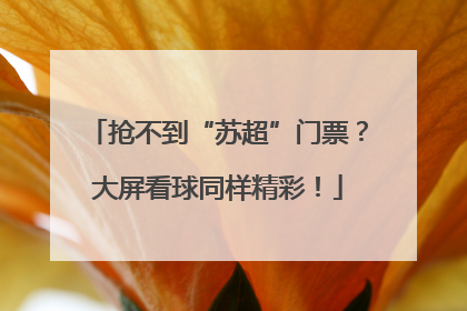 抢不到“苏超”门票？大屏看球同样精彩！