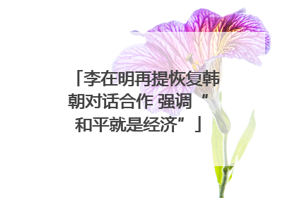 李在明再提恢复韩朝对话合作 强调“和平就是经济”