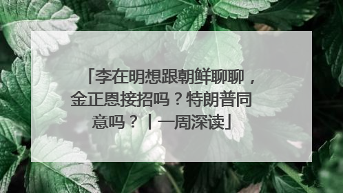 李在明想跟朝鲜聊聊，金正恩接招吗？特朗普同意吗？丨一周深读