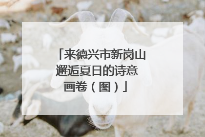 来德兴市新岗山 邂逅夏日的诗意画卷（图）