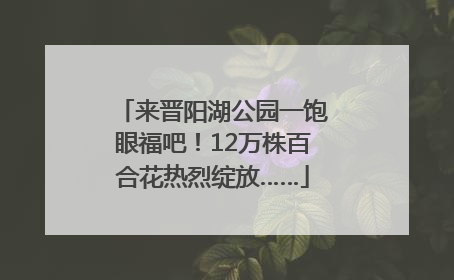 来晋阳湖公园一饱眼福吧！12万株百合花热烈绽放……
