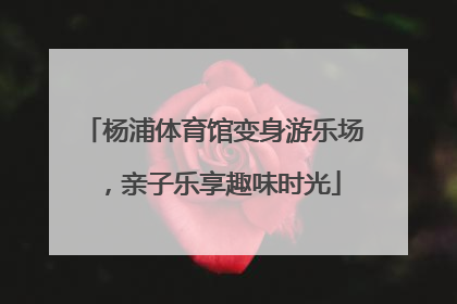 杨浦体育馆变身游乐场，亲子乐享趣味时光