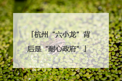 杭州“六小龙”背后是“耐心政府”