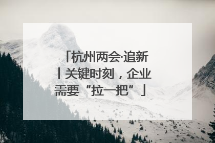 杭州两会·追新丨关键时刻，企业需要“拉一把”