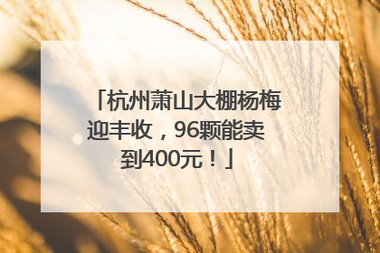 杭州萧山大棚杨梅迎丰收，96颗能卖到400元！