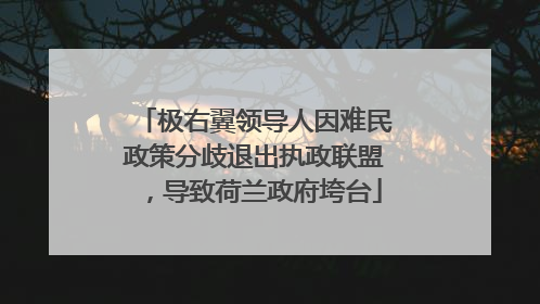 极右翼领导人因难民政策分歧退出执政联盟，导致荷兰政府垮台