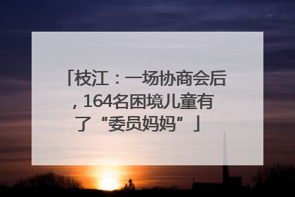 枝江：一场协商会后，164名困境儿童有了“委员妈妈”