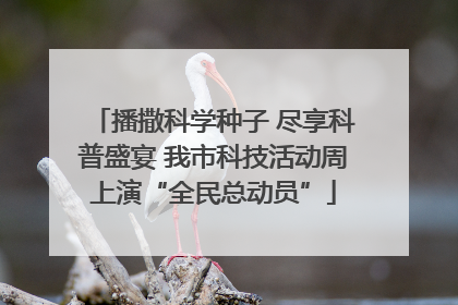 播撒科学种子 尽享科普盛宴 我市科技活动周上演“全民总动员”