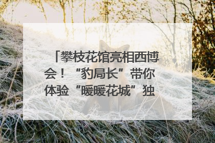 攀枝花馆亮相西博会！“豹局长”带你体验“暖暖花城”独特魅力｜西博视界