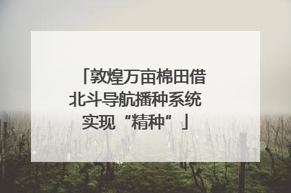 敦煌万亩棉田借北斗导航播种系统实现“精种”