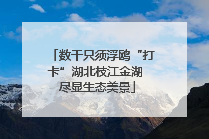 数千只须浮鸥“打卡”湖北枝江金湖 尽显生态美景