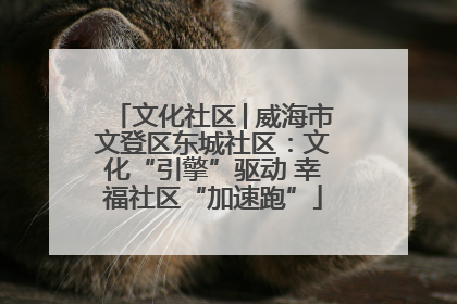 文化社区│威海市文登区东城社区：文化“引擎”驱动 幸福社区“加速跑”
