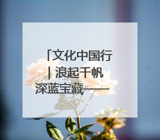 文化中国行｜浪起千帆 深蓝宝藏——博物馆里的海丝遗珍