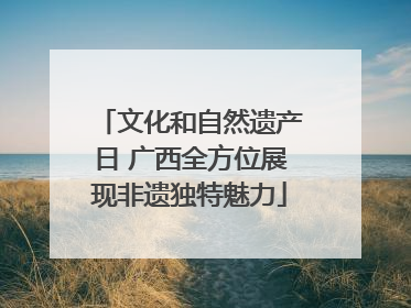 文化和自然遗产日 广西全方位展现非遗独特魅力