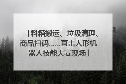 料箱搬运、垃圾清理、商品扫码……直击人形机器人技能大赛现场