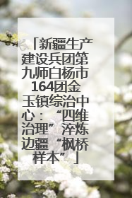 新疆生产建设兵团第九师白杨市164团金玉镇综治中心：“四维治理”淬炼边疆“枫桥样本”