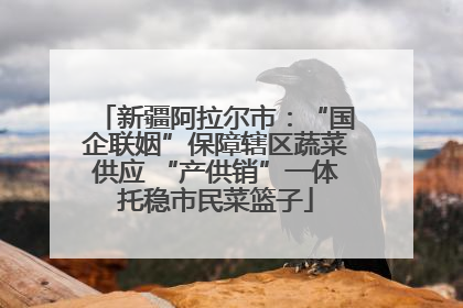 新疆阿拉尔市：“国企联姻”保障辖区蔬菜供应 “产供销”一体托稳市民菜篮子