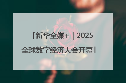 新华全媒+｜2025全球数字经济大会开幕