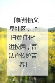 新州镇文星社区：“扫黄打非”进校园，普法宣传护青春